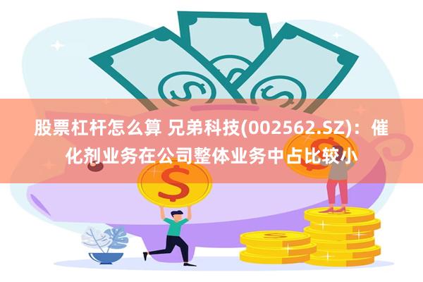 股票杠杆怎么算 兄弟科技(002562.SZ)：催化剂业务在公司整体业务中占比较小