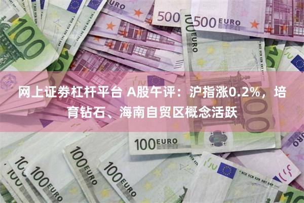 网上证劵杠杆平台 A股午评：沪指涨0.2%，培育钻石、海南自贸区概念活跃