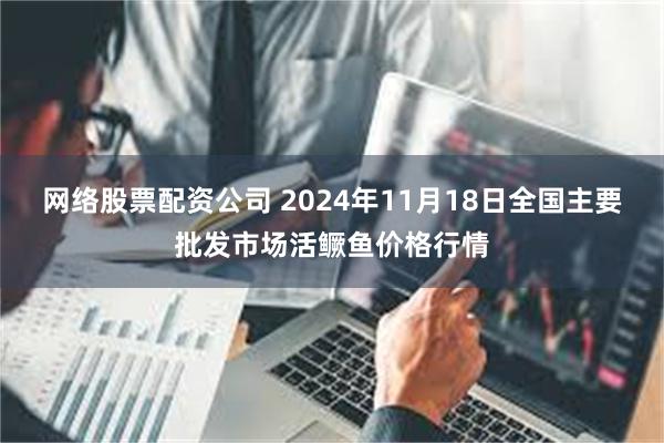 网络股票配资公司 2024年11月18日全国主要批发市场活鳜鱼价格行情