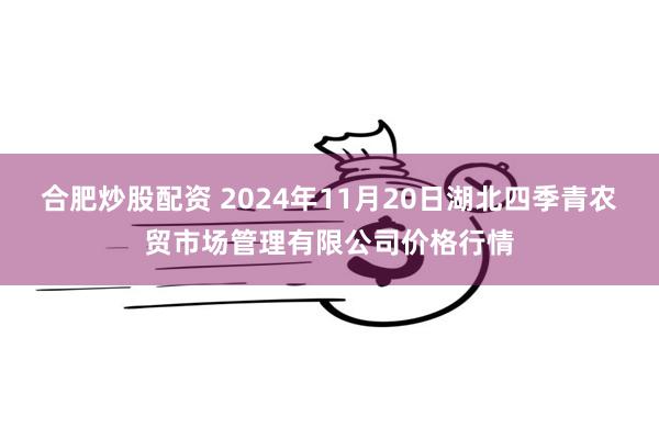 合肥炒股配资 2024年11月20日湖北四季青农贸市场管理有限公司价格行情