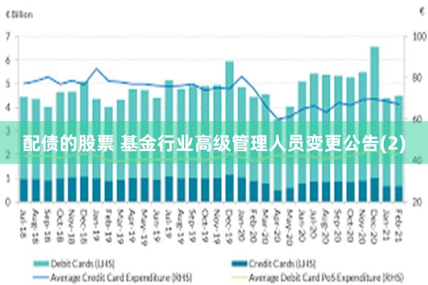 配债的股票 基金行业高级管理人员变更公告(2)