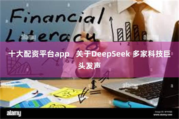 十大配资平台app   关于DeepSeek 多家科技巨头发声