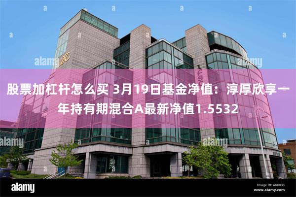 股票加杠杆怎么买 3月19日基金净值：淳厚欣享一年持有期混合A最新净值1.5532