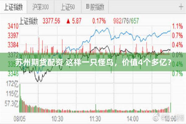 苏州期货配资 这样一只怪鸟，价值4个多亿？