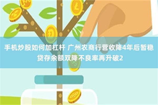 手机炒股如何加杠杆 广州农商行营收降4年后暂稳 贷存余额双降不良率再升破2
