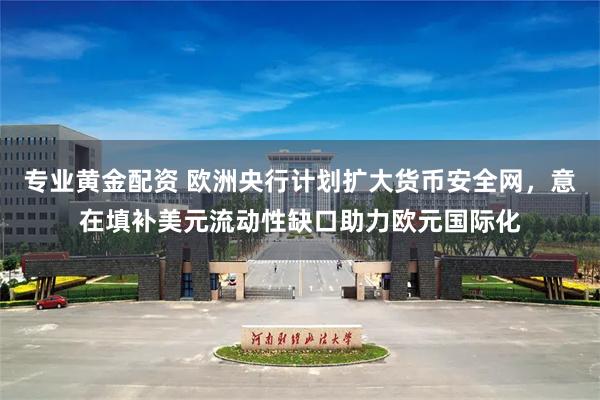 专业黄金配资 欧洲央行计划扩大货币安全网，意在填补美元流动性缺口助力欧元国际化